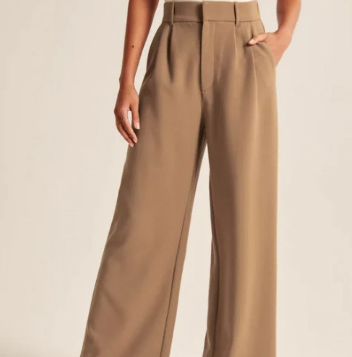 Sleek Pleated Trousers